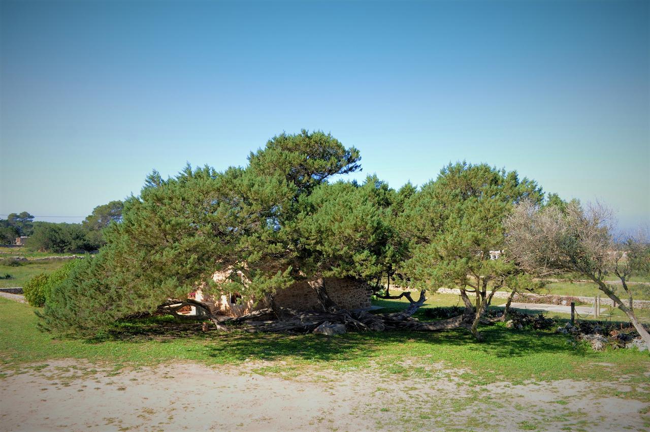 Villa Siamoformentera Bella à San Francisco Javier Extérieur photo